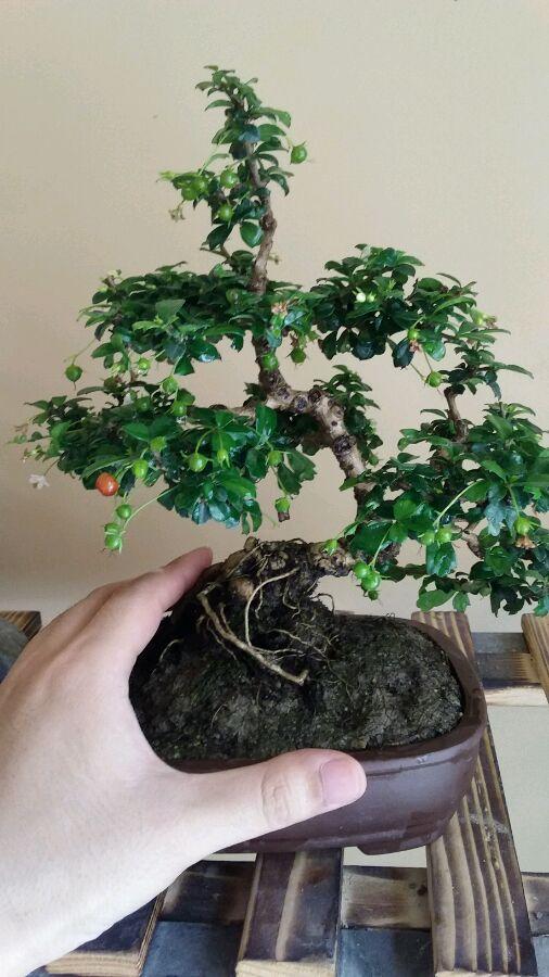 福建自然探索之旅，追寻内心的平和与喜悦